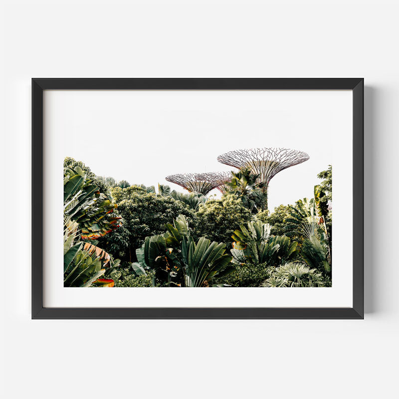 Framed photograph of a tropical garden with unique tree-like structures.