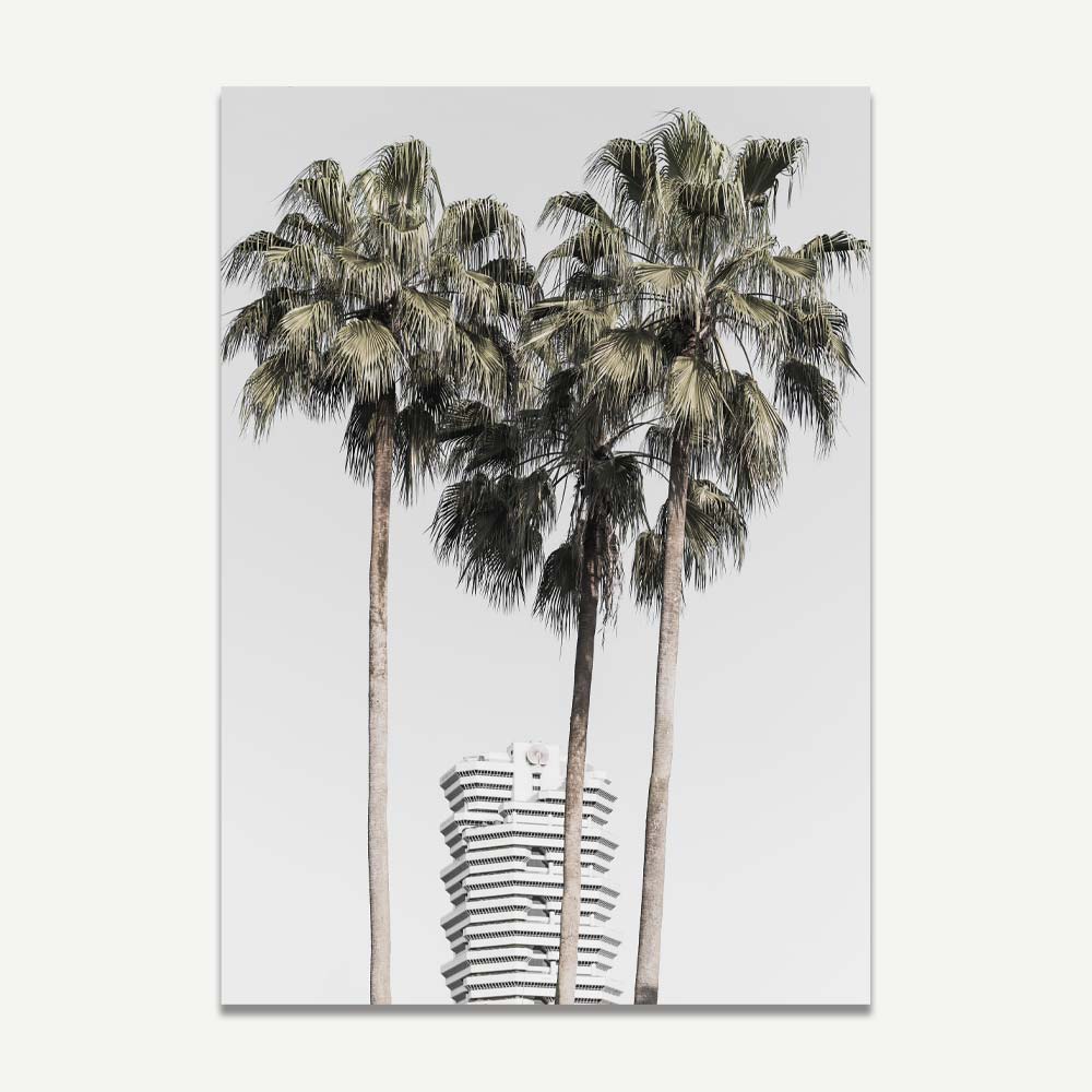 A photograph print featuring three palm trees with a section of the Concourse Building visible in the background, captured in Singapore.