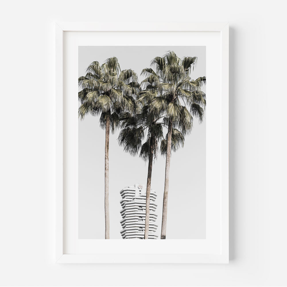 A framed photograph featuring three palm trees with a section of the Concourse Building visible in the background, captured in Singapore.