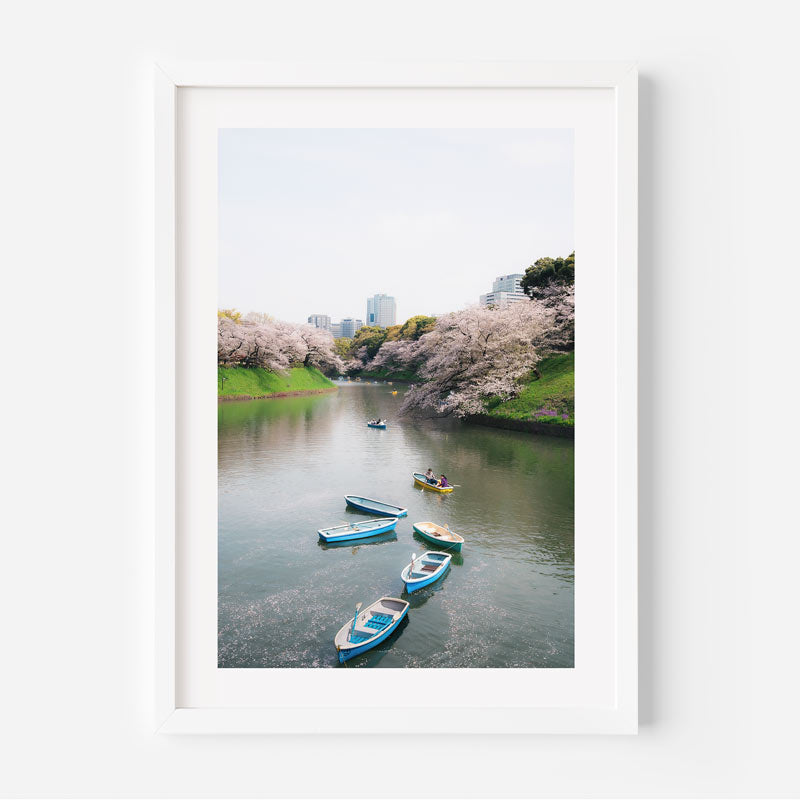 Sakura Drift Art Print