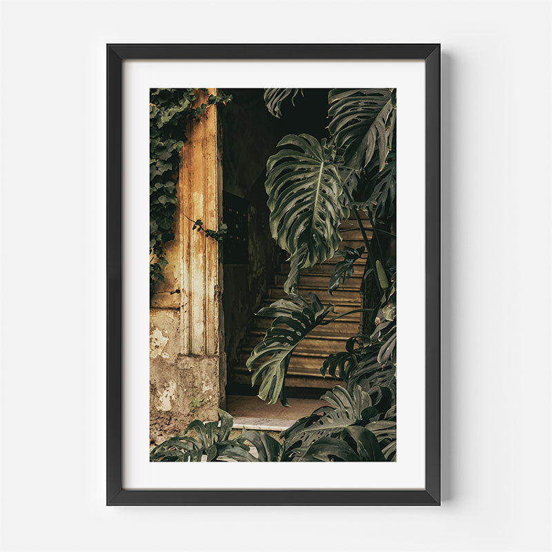 A framed art print featuring a tropical scene with large green monstera leaves and a rustic wooden door, presented in a black frame with a white mat against a light gray wall.