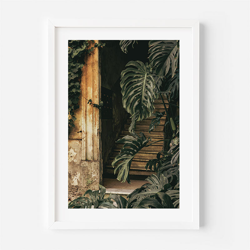 A framed art print featuring a moody photograph of tropical monstera leaves and wooden stairs in a dim interior, presented in a white frame against a clean white background.