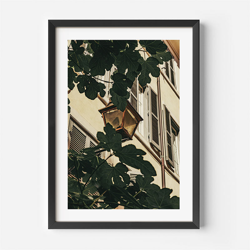 A framed art print featuring a low-angle photograph of a building facade partially obscured by large green leaves and a vintage street lamp, presented in a black frame with a white mat against a light gray background.
