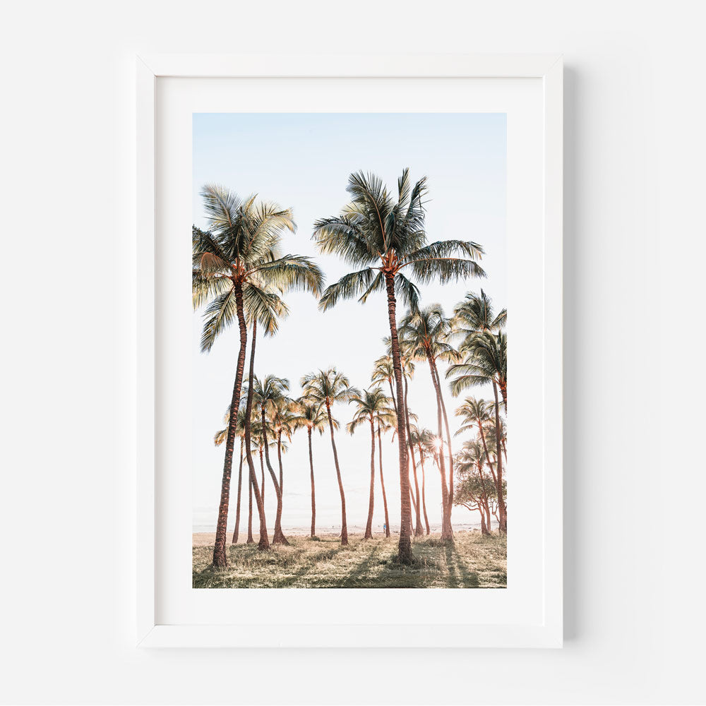 Tranquil Palm Tree Garden in Waikiki, Hawaii - Perfect for Home Decor and Wall Art by Oblongshop.