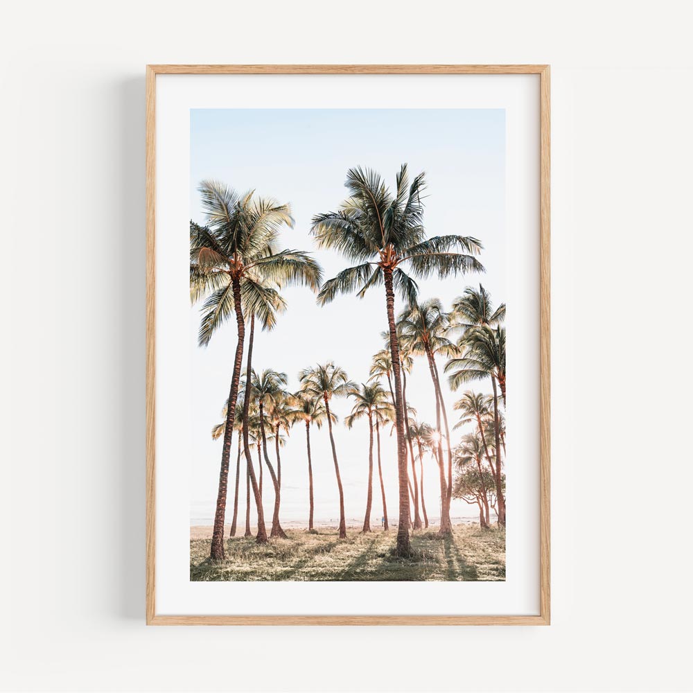 Serene Palm Tree Garden Photo - Adding Natural Beauty to Your Home Decor with Real Photography.