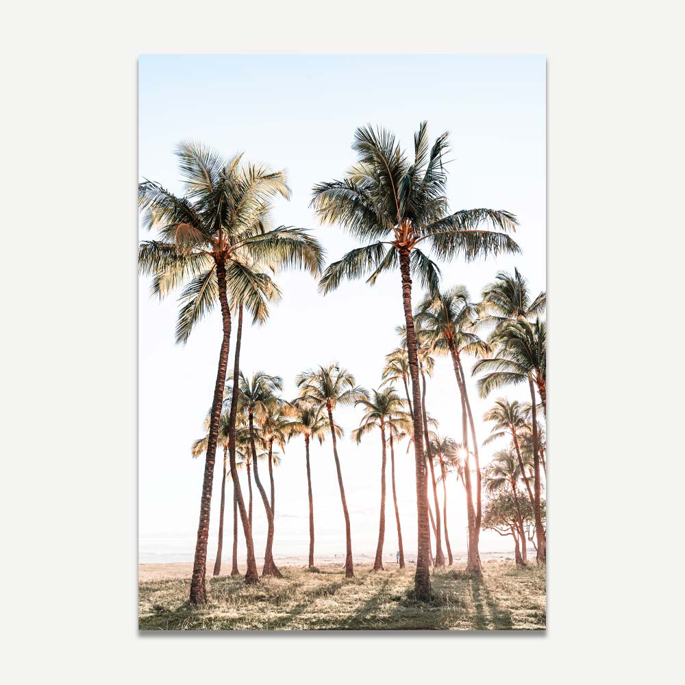 Stylish Palm Tree Garden Print - Transform Your Living Room or Lounge with Modern Wall Art.