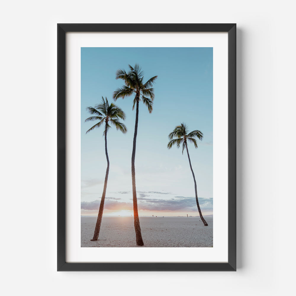Breathtaking Sunset with Palm Trees in Waikiki, Hawaii - Enhancing Your Fine Arts Collection for Home Decor.