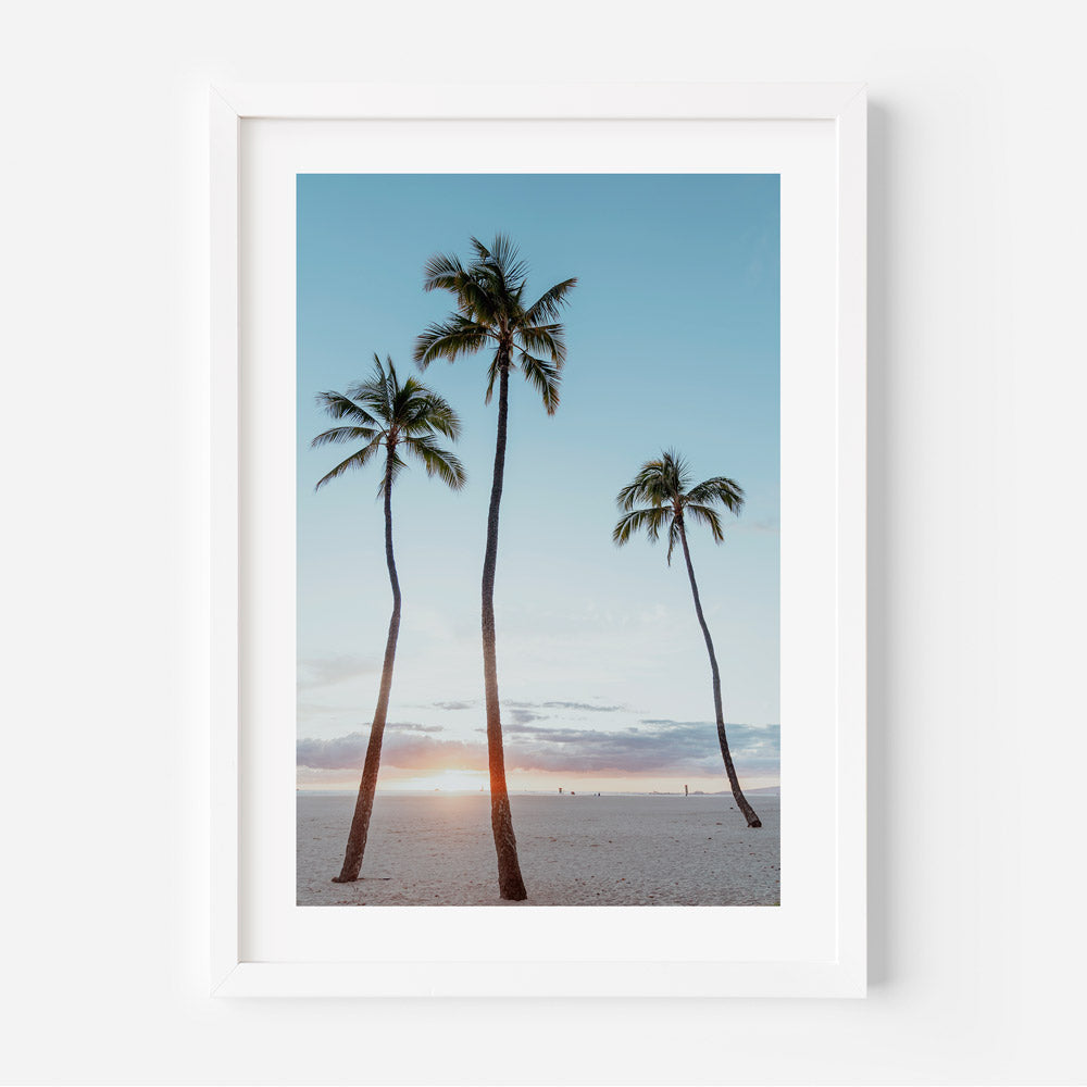 Waikiki Sunset with Palm Trees - Ideal for Home Decor and Wall Art by Oblongshop.