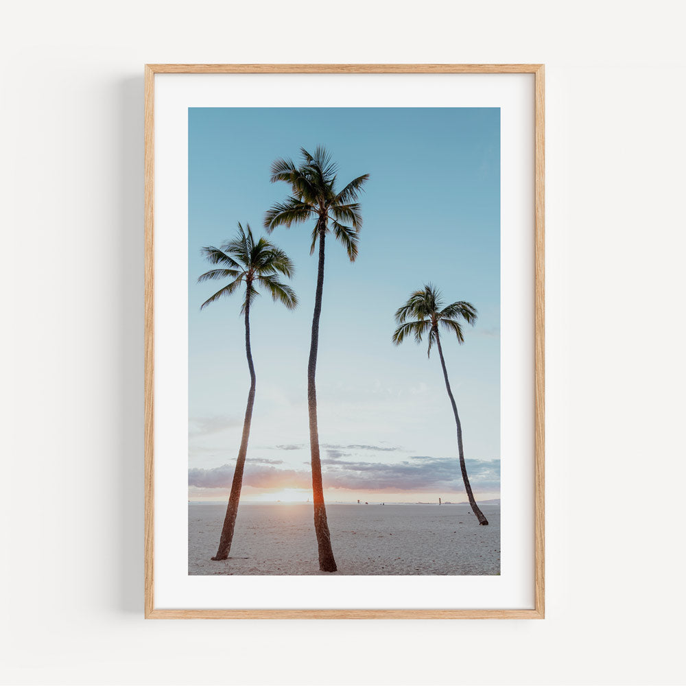 Serene Palm Trees Waikiki Sunset Photo - Adding Natural Beauty to Your Home Decor with Real Photography.