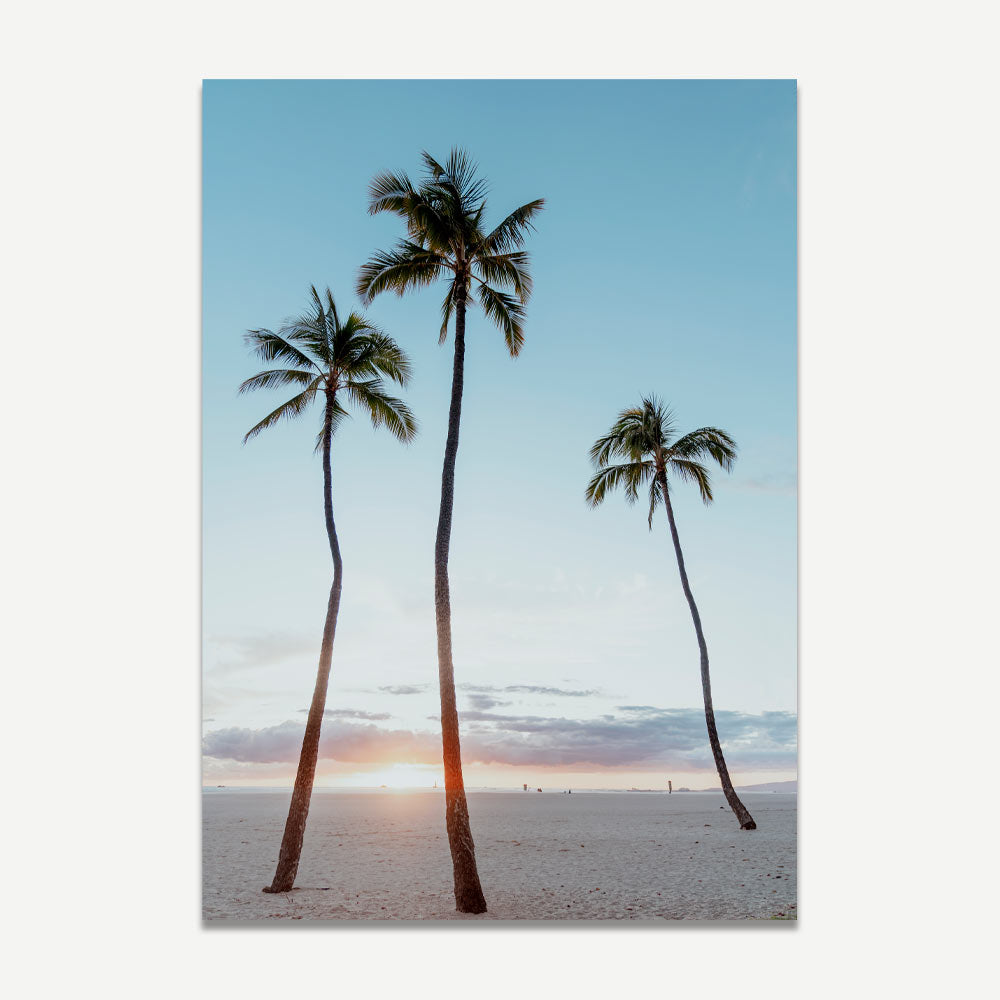 Stylish Palm Trees Waikiki Sunset Print - Transform Your Living Room or Lounge with Modern Wall Art.