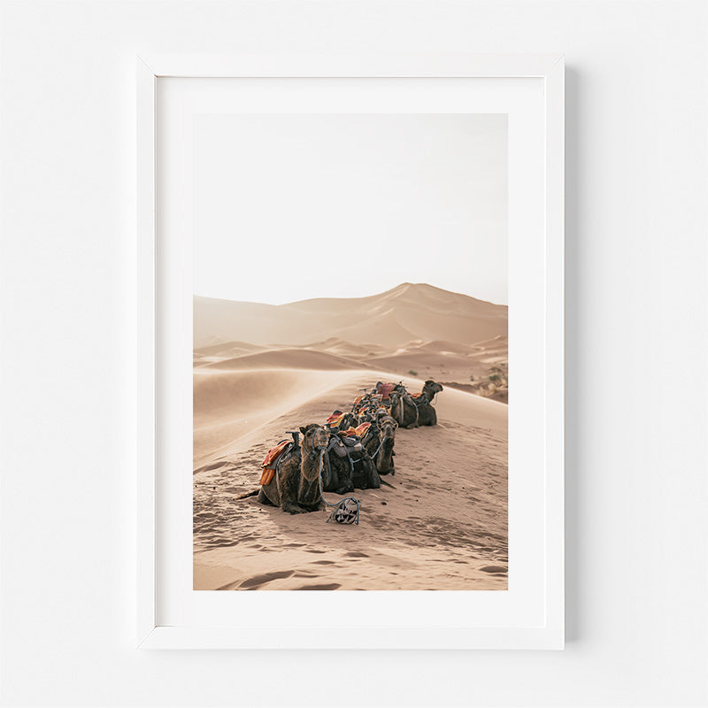 Framed photograph of camels in a desert landscape