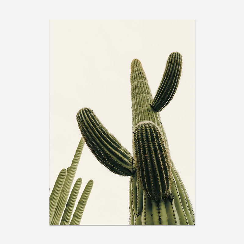 A vertical photographic print of a saguaro cactus with multiple arms reaching upward against a pale cream background, shown as a centered rectangular artwork on a light gray backdrop.