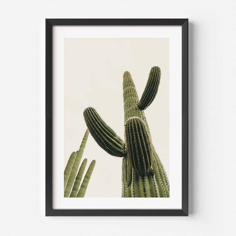 Framed wall art featuring a stylized photograph of saguaro cacti in muted green tones against a warm off-white background, presented in a black frame with a white mat.