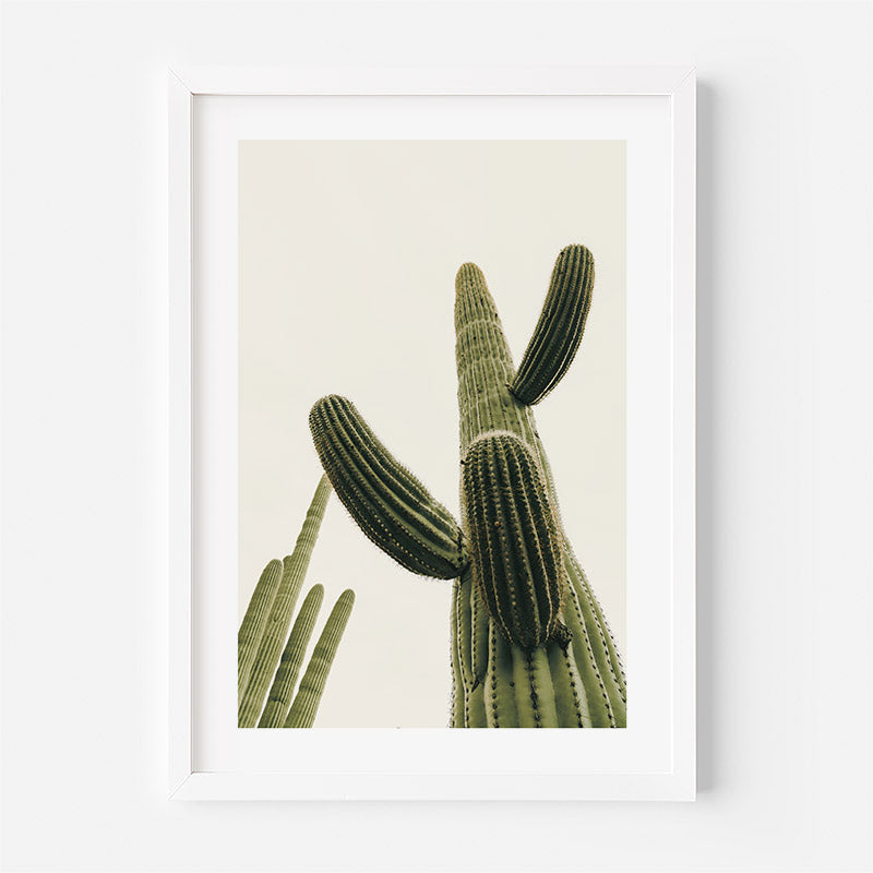 A framed art print featuring a green saguaro cactus against a warm cream background, enclosed in a clean white frame and mounted on a light gray wall.