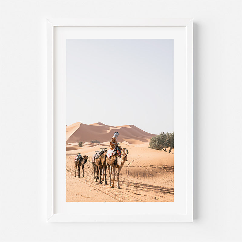 Framed photograph of a person riding a camel in a desert landscape.