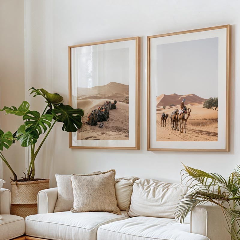 Living room with two framed desert landscape pictures on the wall, a white sofa, and plants.