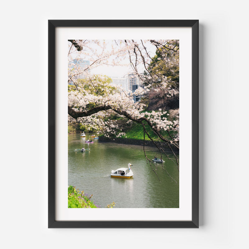 Spring Blooms in Chidorigafuchi Art Print
