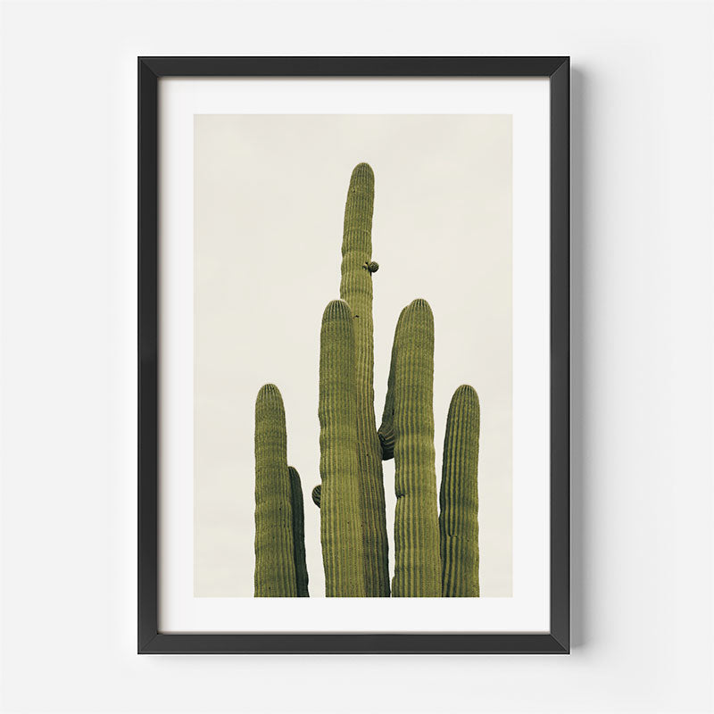 Framed wall art featuring a tall green saguaro-style cactus on a warm off-white background, shown in a black frame with a white mat against a light gray wall.
