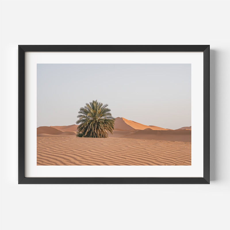 Framed desert landscape with a palm tree and mountains.