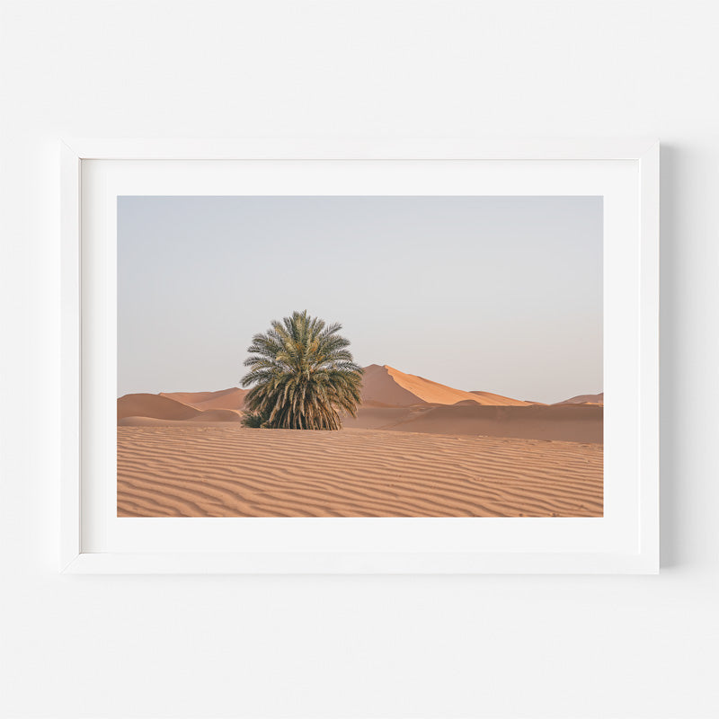 Framed photograph of a desert landscape with a palm tree and sand dunes.