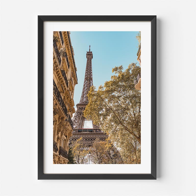 Framed photograph of the Eiffel Tower with trees and buildings in the foreground on a white wall.