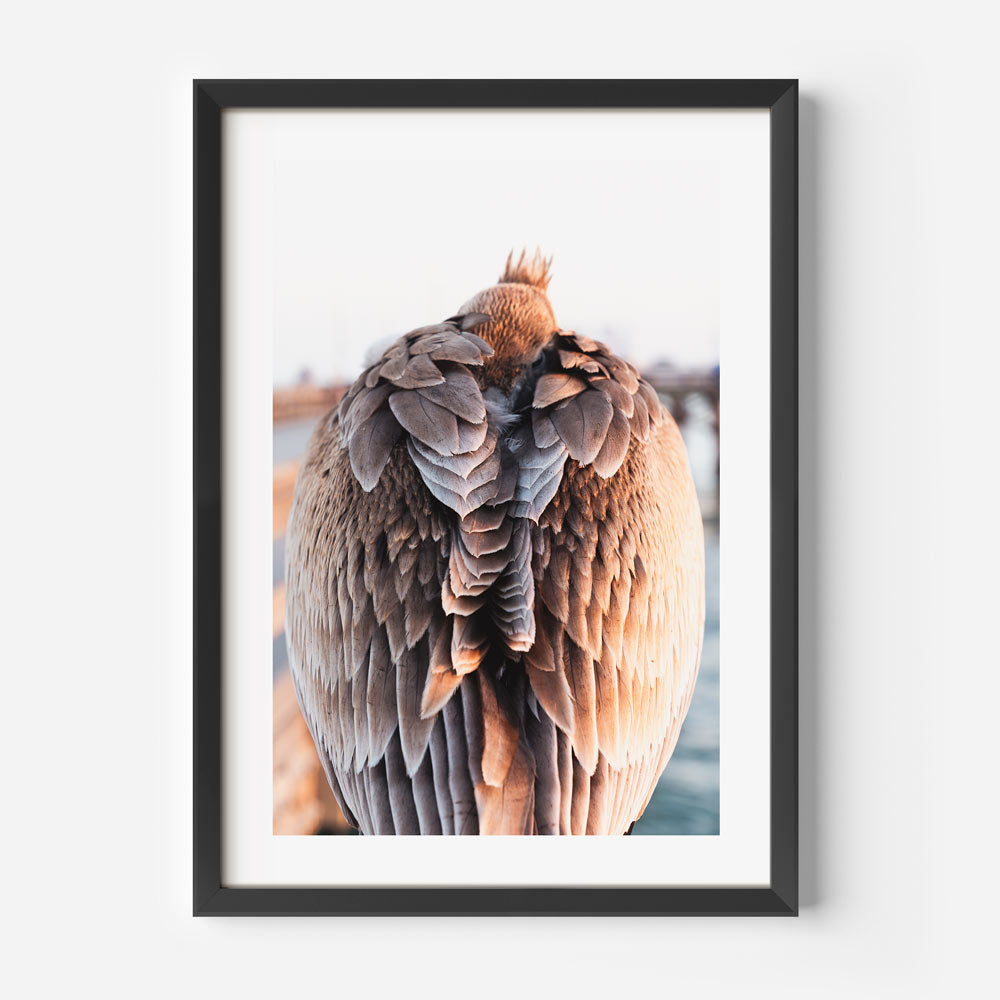 Elisha Baby Pelican Art Print