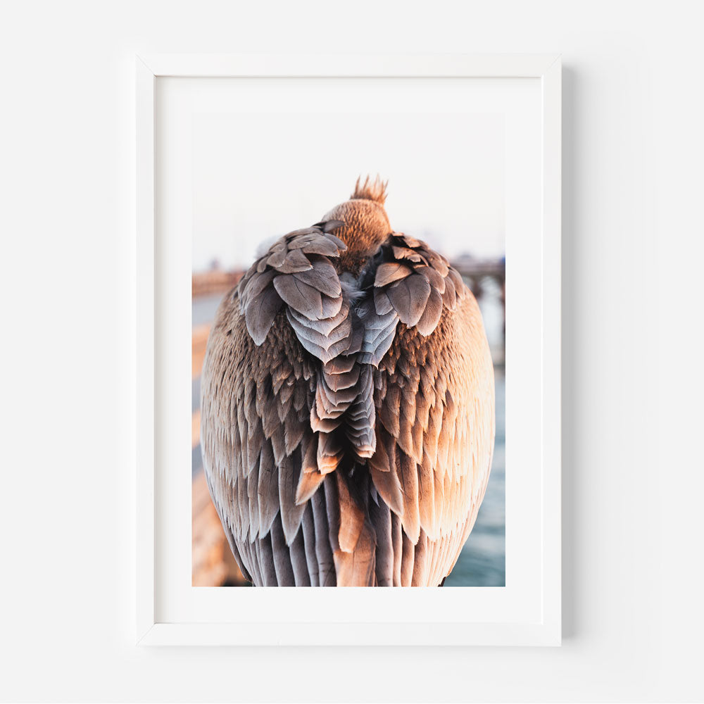 Elisha Baby Pelican Art Print