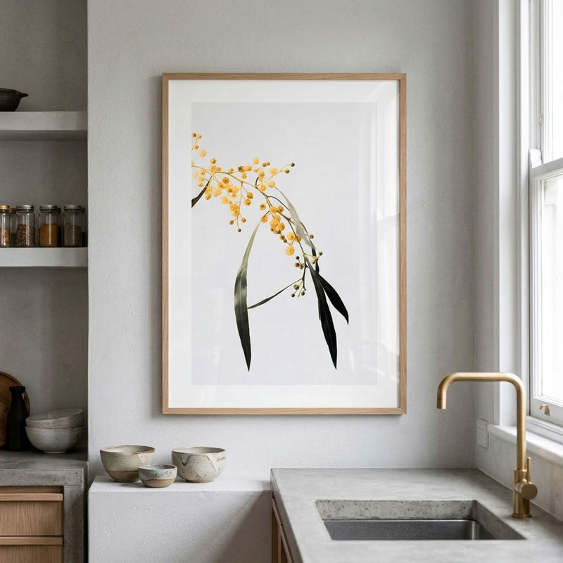 Wattle Flowers Art Print
