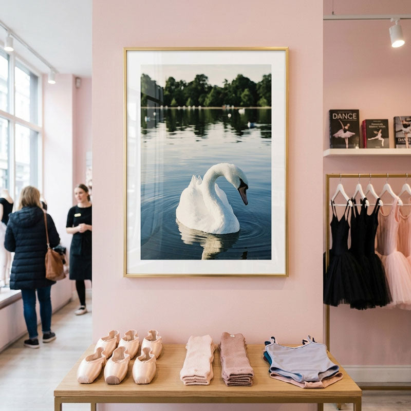White Swan Art Print