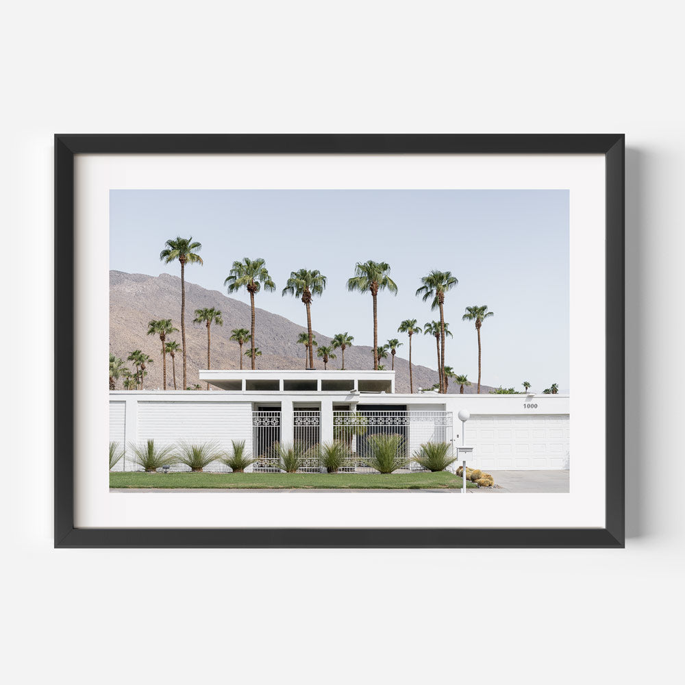 Framed photograph of a white building with palm trees in the background