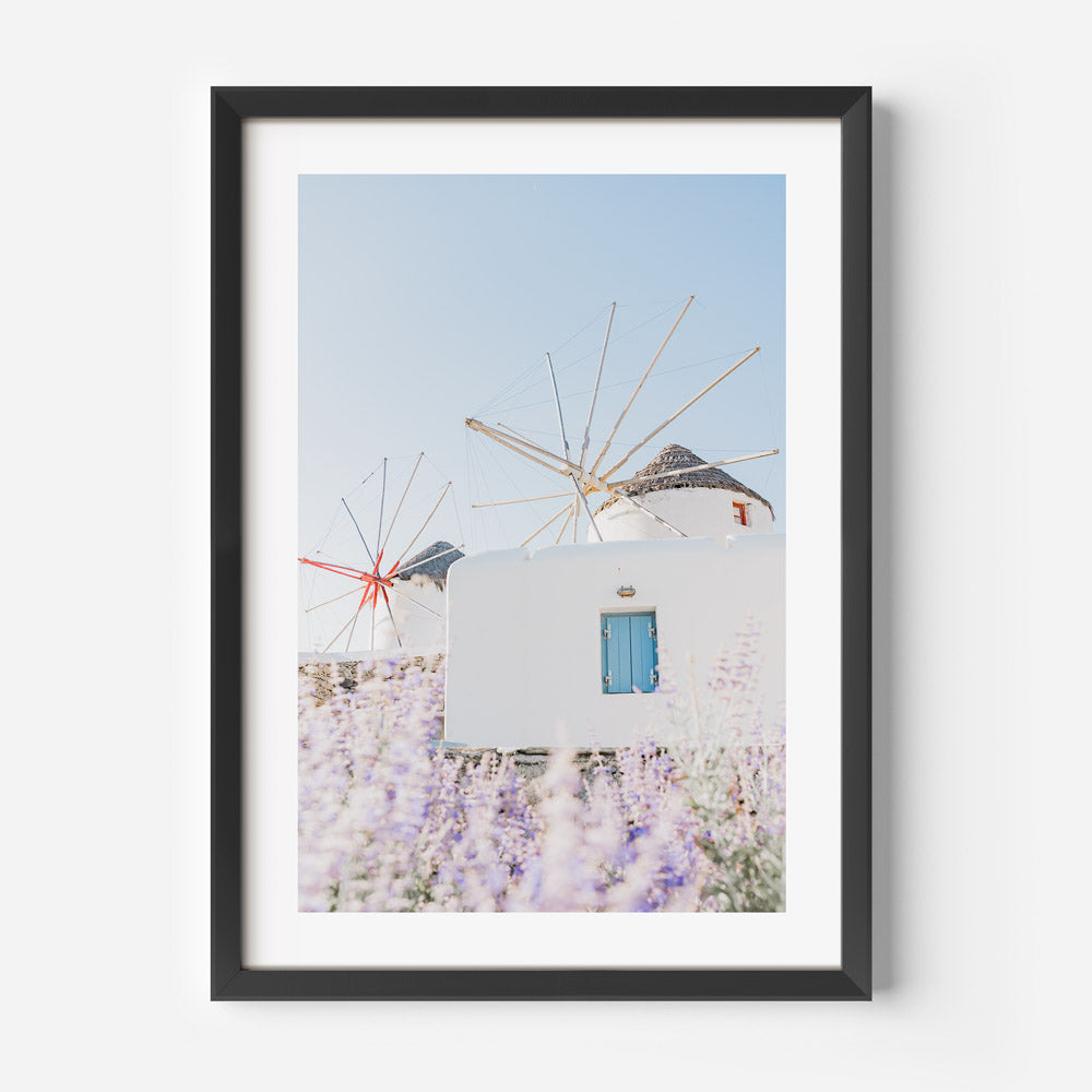 Windmills & Lavender Art Print