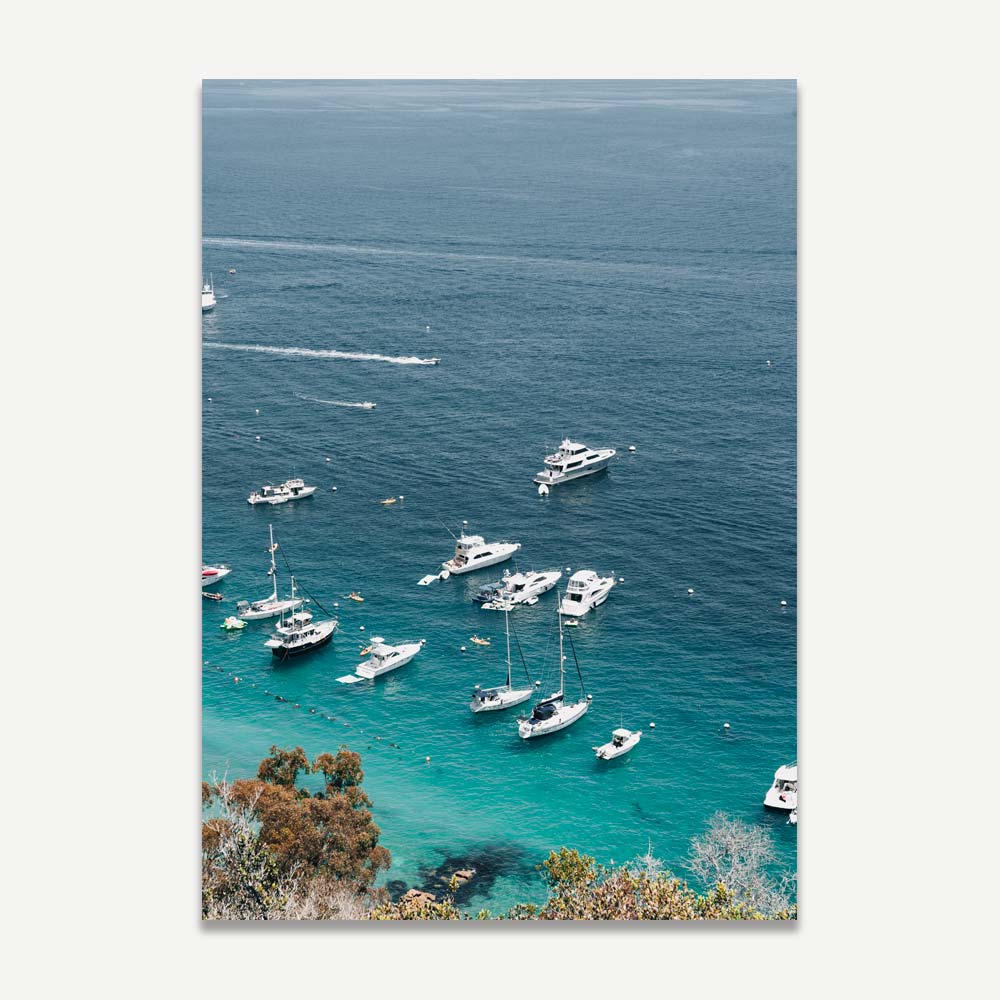 Catalina California IV Art Print