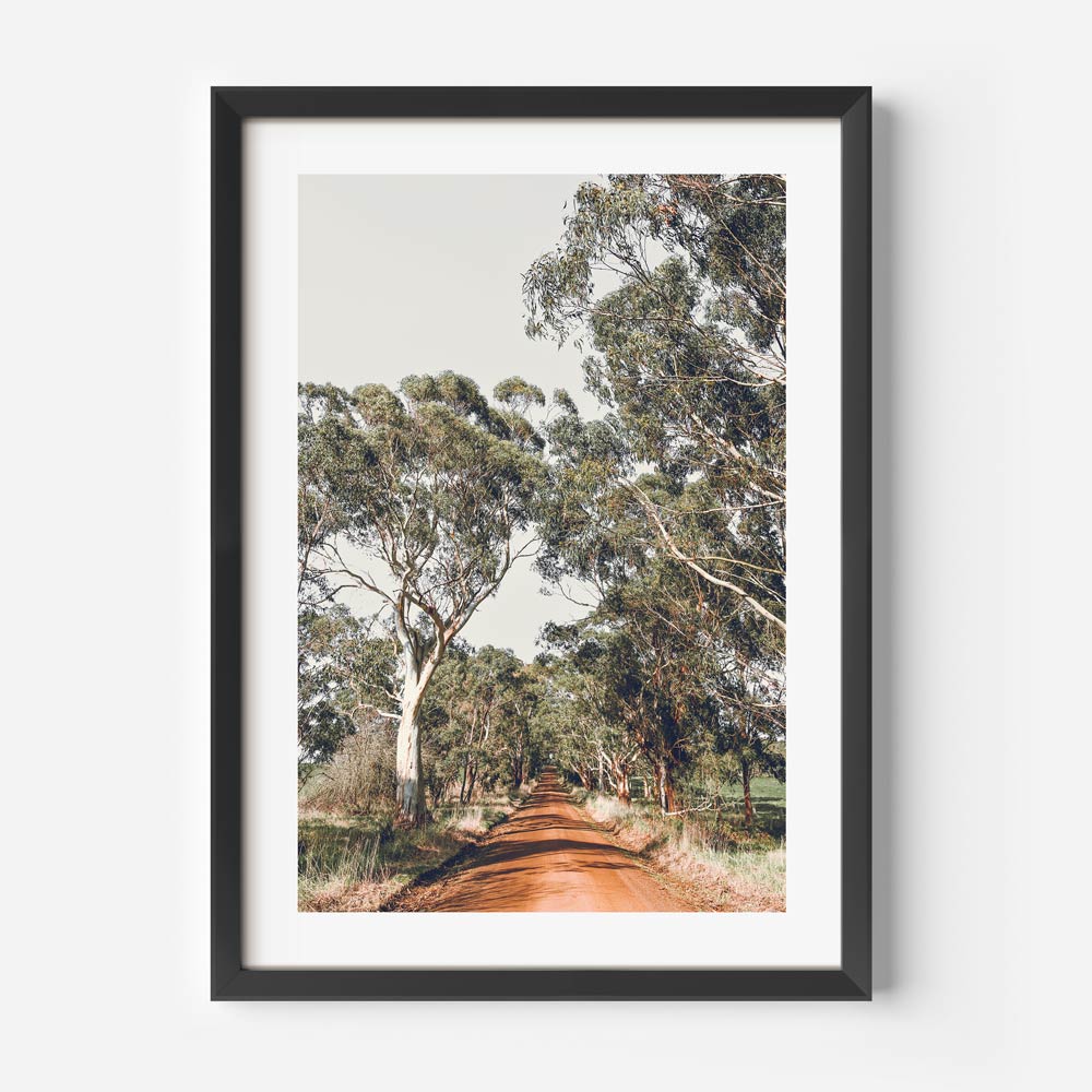 Country Road Print
