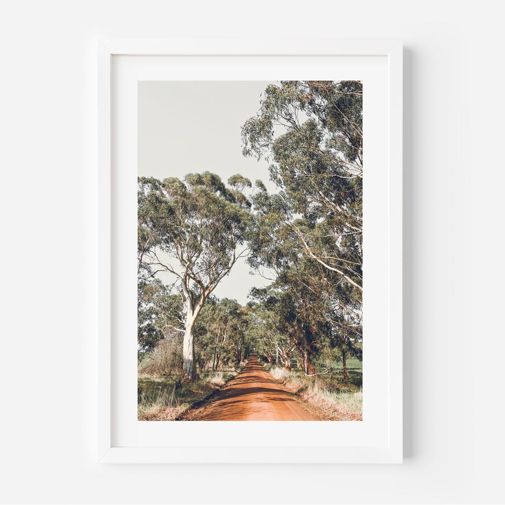 A framed wall art featuring a vibrant red dirt road with majestic gum trees on both sides, set in a rural Australian landscape.