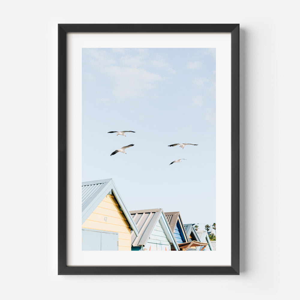 Brighton Seagulls Art Print