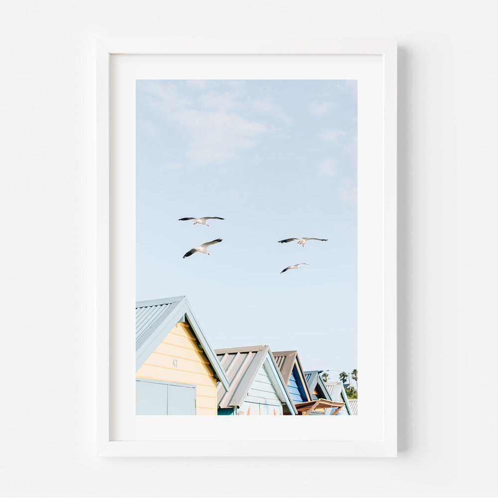 Brighton Seagulls Art Print