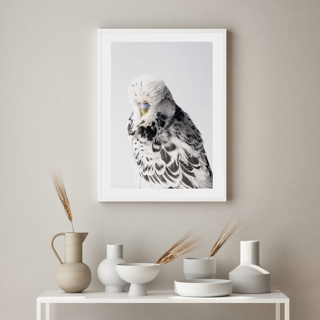 TCB Budgie Art Print
