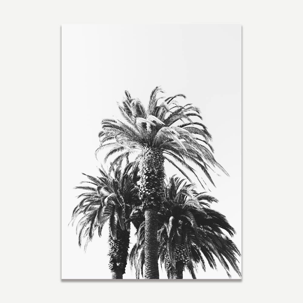 Set of 2 Art Prints - BW Palms & BW Palm