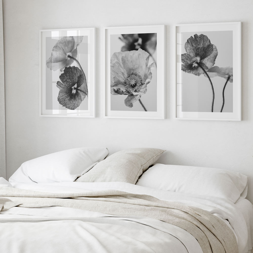 BW Poppies III Art Print