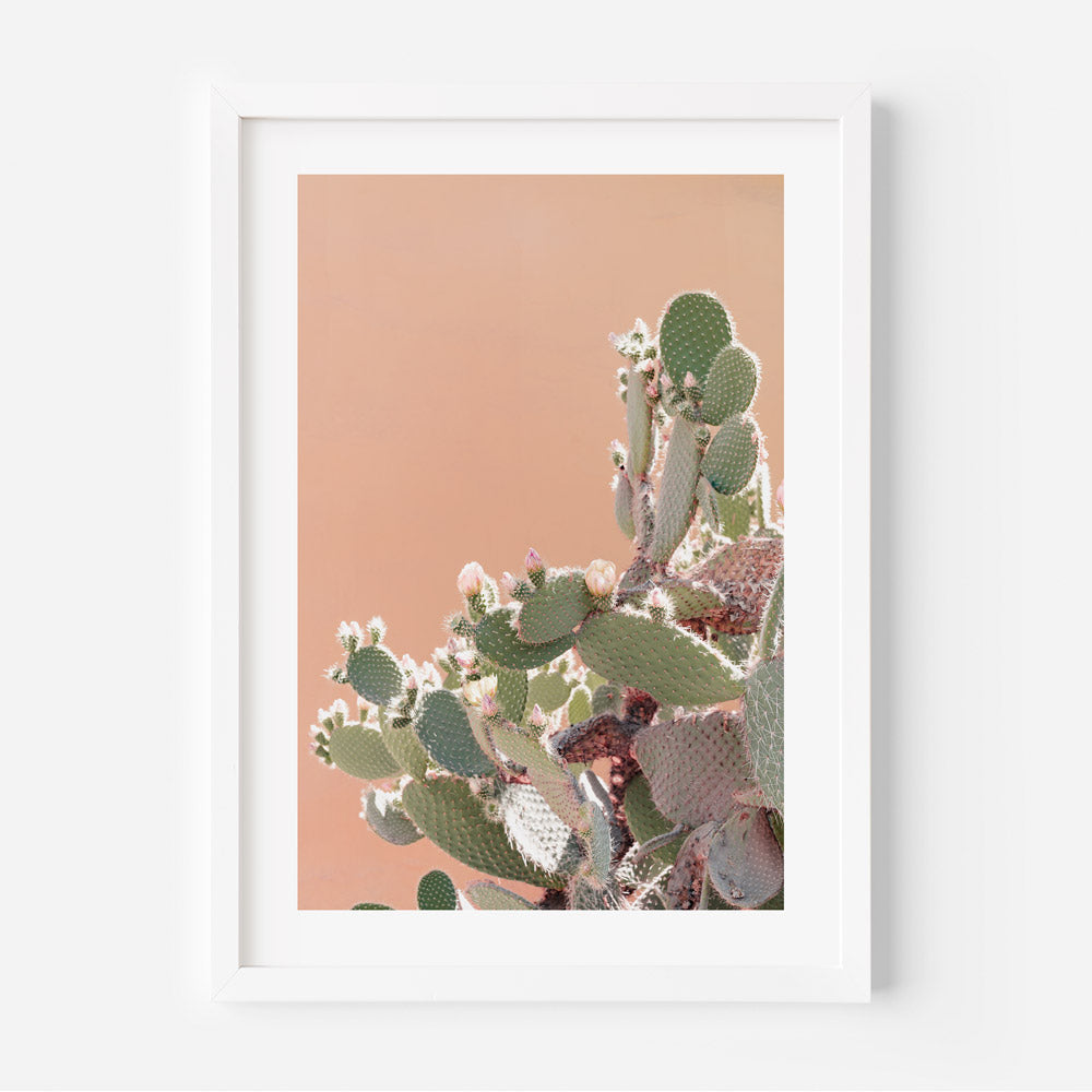 San Esteban II Art Print