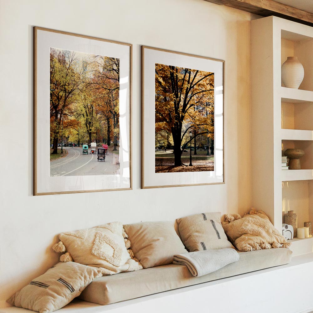 Central Park In Fall II Art Print