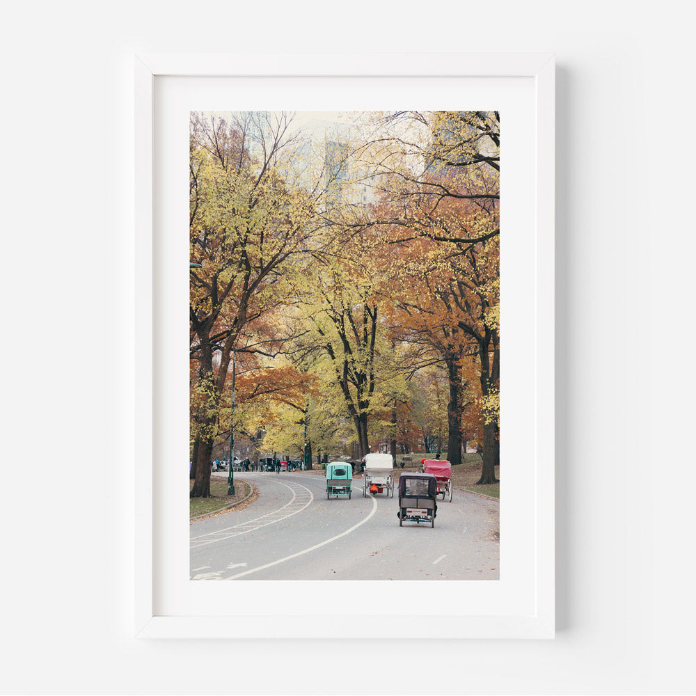 Central Park In Fall II Art Print