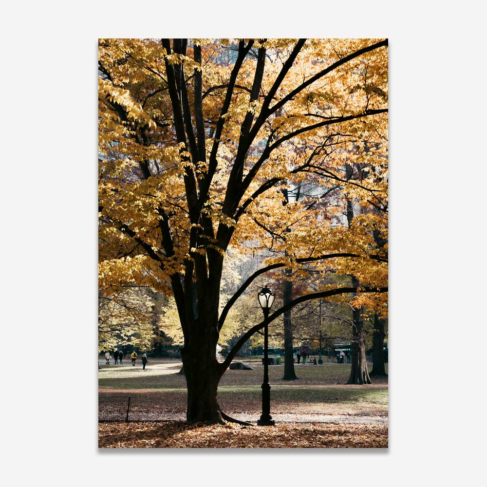 Wall art decor from OblongShop showcasing Central Park's big tree with yellow leaves in New York, ideal for home decor.