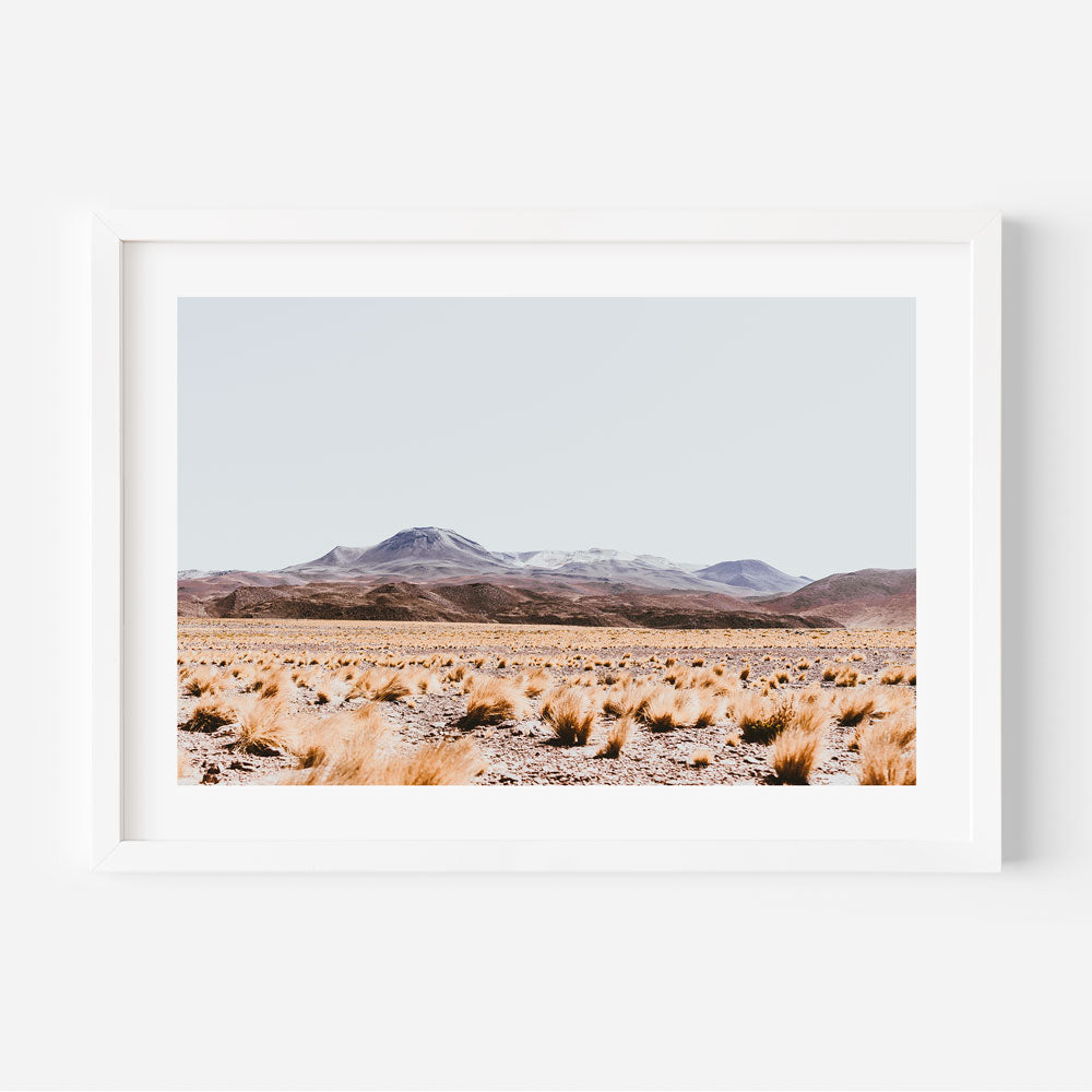 Paja Brava Desert Art Print