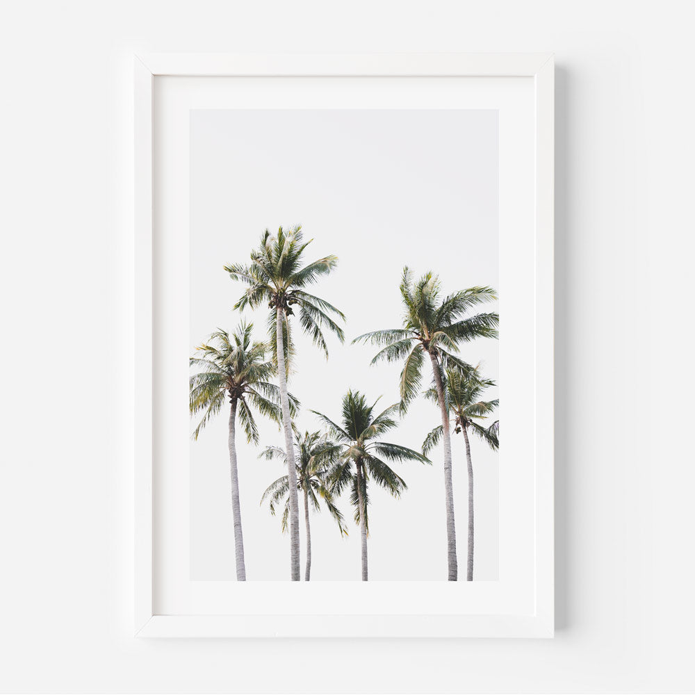 Mindil Palms Art Print