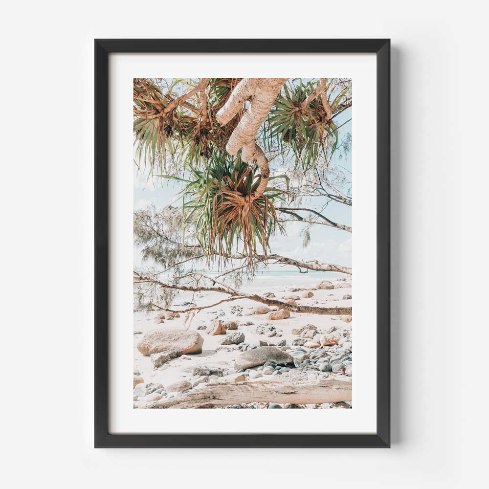 Rocky End Wategos Art Print