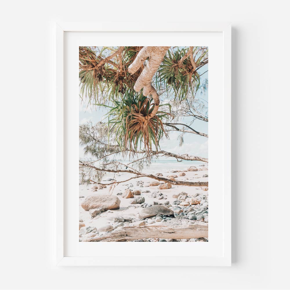 Rocky End Wategos Art Print