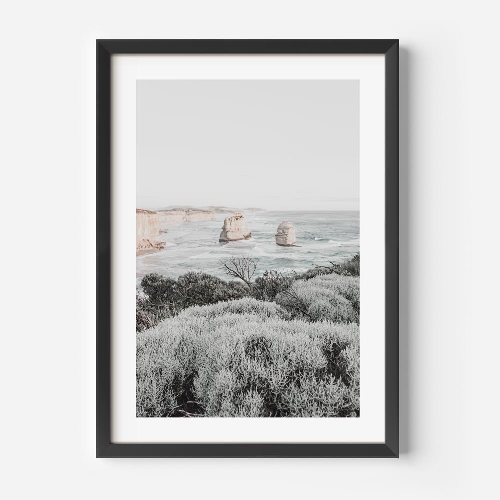 Framed coastal wall art showing the natural beauty of native vegetation along a rugged coast.