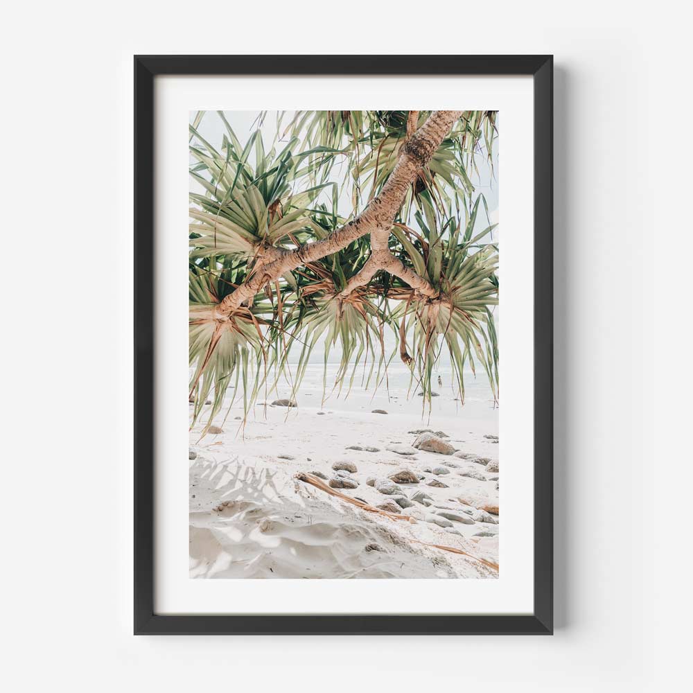 Framed coastal wall art of native Australian beach scenery with soothing tones and ocean horizon