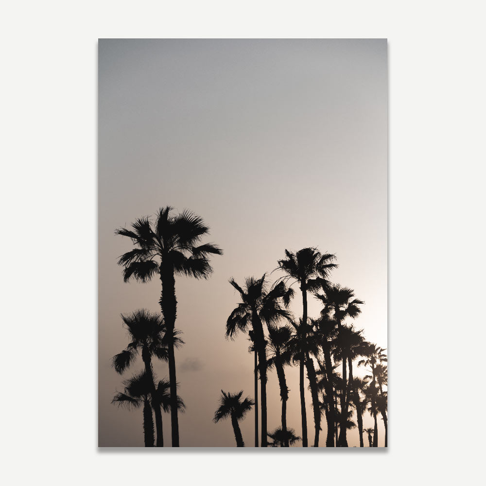 Transform your space with 'Moody Palms' abstract art of evening palm trees.